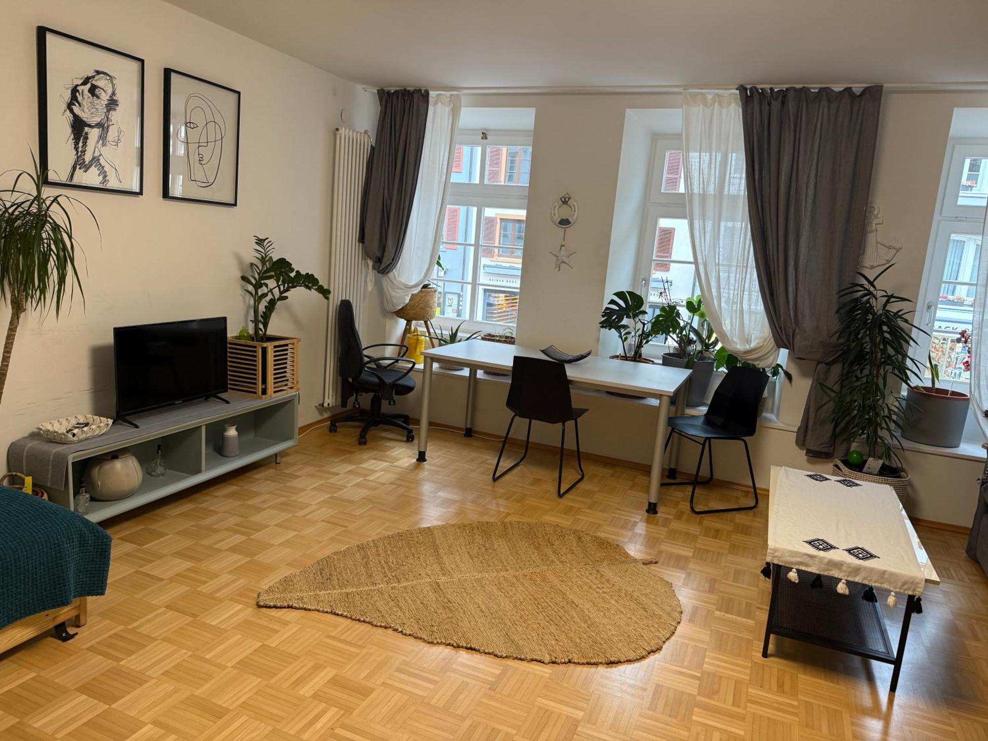 Waldshut -Kaiser55 Εξωτερικό φωτογραφία