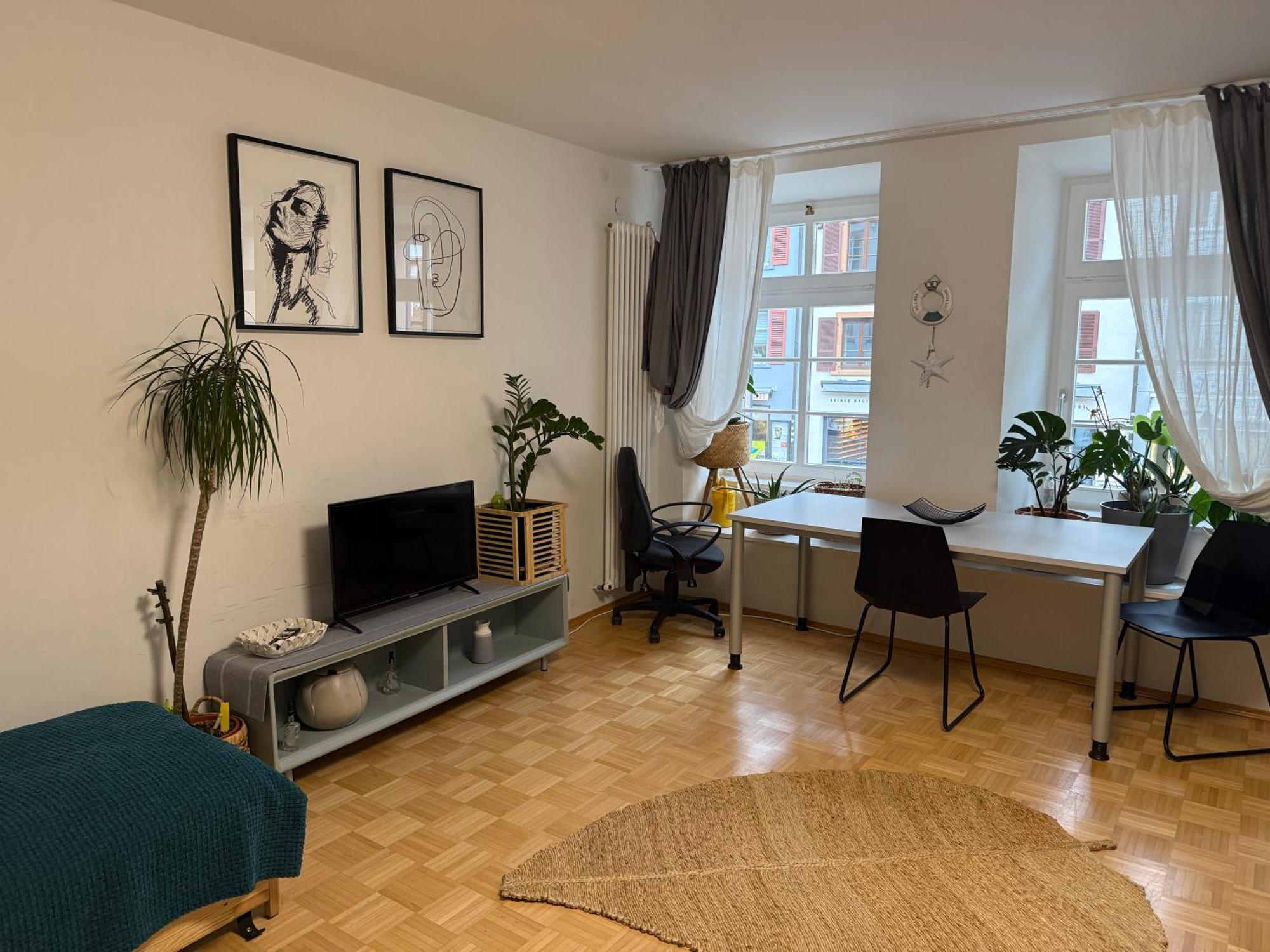 Waldshut -Kaiser55 Εξωτερικό φωτογραφία